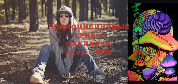 СК Нея